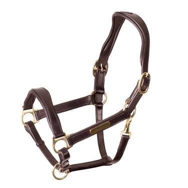 Buy Shires Velociti RAPIDA Cushioned Leather Heacollar | Online for Equine