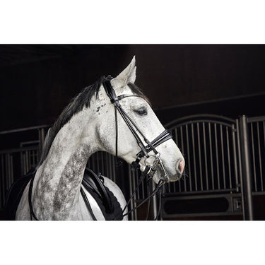Buy Catago Double Rolled Bridle | Online for Equine