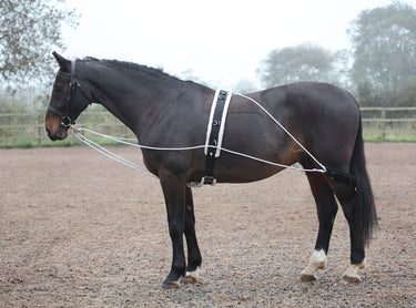 Shires Lunging Aid-One Size-Black
