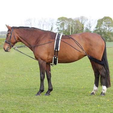 Hy Equestrian Lunging System| Online For Equine