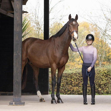 Hy Equestrian Elevate Allure Mizs Riding Tights| Online For Equine