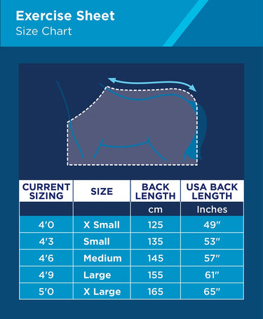 Buy WeatherBeeta 300D Reflective Exercise Sheet| Online for Equine