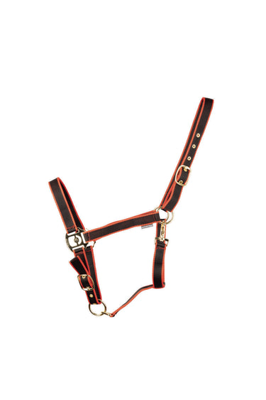 HyCONIC Head Collar