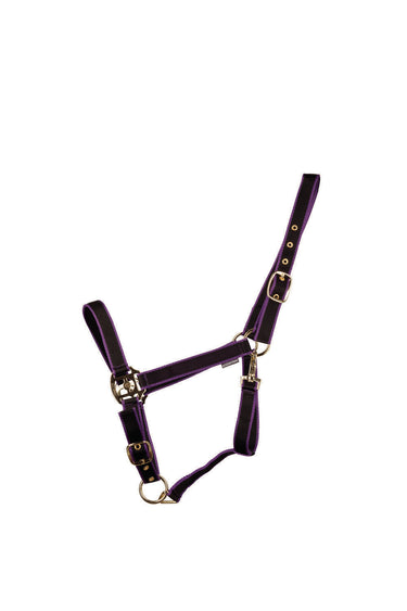 HyCONIC Head Collar