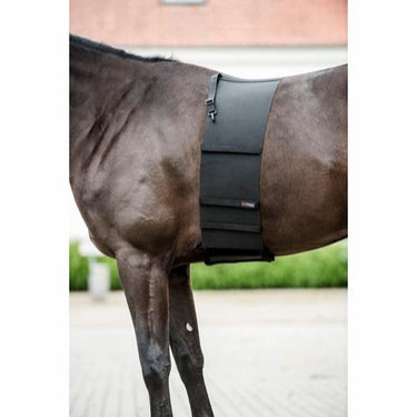 Buy Catago Body Shield | Online for Equine