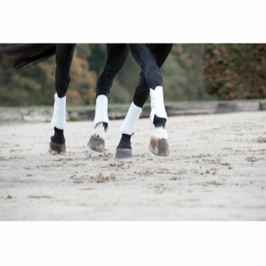 Buy Catago Dressage Boots| Online for Equine