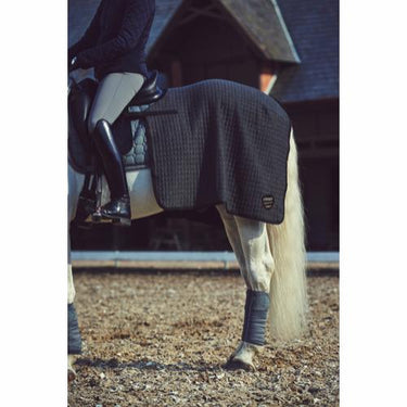 Buy CATAGO Cooler Quarter Rug | Online for Equine