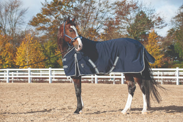 Buy Catago Summer Rug| Online for Equine