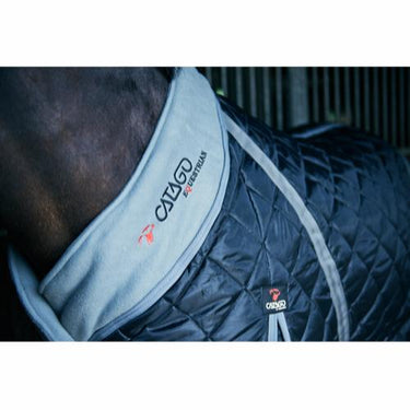 Buy CATAGO 100g Standard Neck Stable Rug | Online for Equine