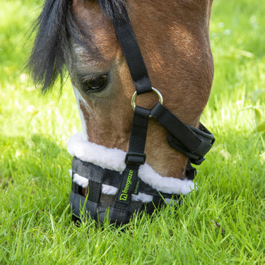 Buy Shires Freegraze Deluxe Comfort Grazing Muzzle | Online for Equine