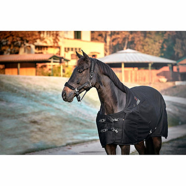 Buy CATAGO FIR-Tech Standard Neck Rug | Online for Equine