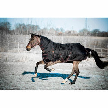 Buy Catago Endurance 0g Turnout Neck Cover | Online for Equine