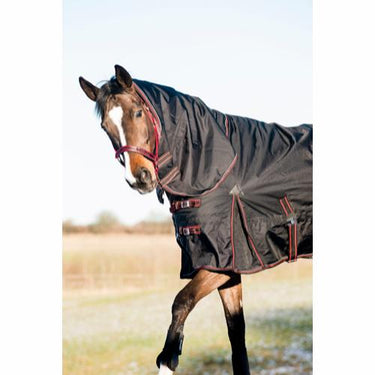 Buy Catago Endurance 200g Turnout Neck Cover| Online for Equine