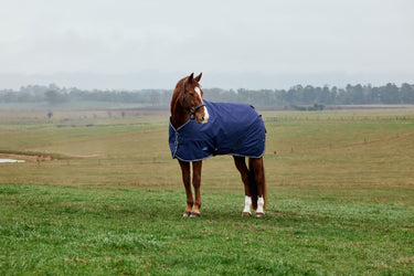 Weatherbeeta Comfitec Tyro Turnout Standard Neck 220G Navy/ Charcoal