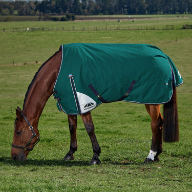 Weatherbeeta Comfitec Plus Dynamic Turnout 220G Forest Green/ Navy