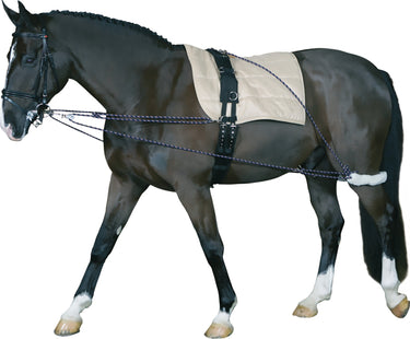 BuyHorse Guard Lunging Training Aid | Online for Equine