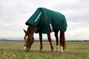 Weatherbeeta Comfitec Plus Dynamic Turnout Detach-A-Neck 100G Forest Green/ Navy