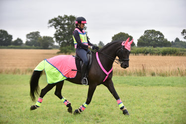 Buy Equisafety Hi Vis Multi Coloured Waterproof Quarter Sheet| Online for Equine