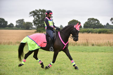 Buy Equisafety Hi Vis Multi Coloured Waterproof Quarter Sheet| Online for Equine