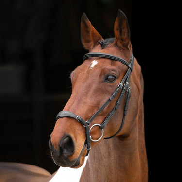 Buy Shires Velociti RAPIDA Drop Noseband Bridle | Online for Equine