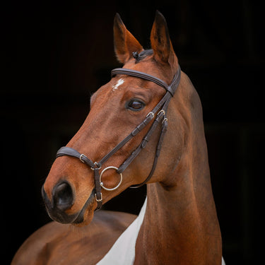 Buy Shires Velociti RAPIDA Drop Noseband Bridle | Online for Equine