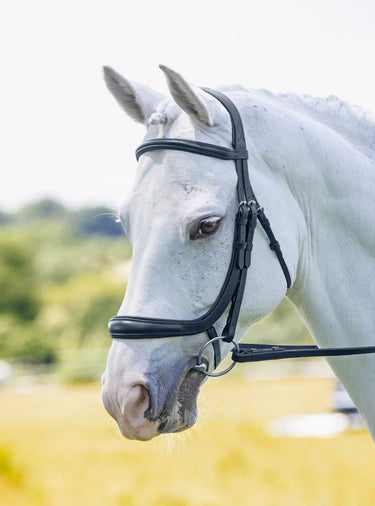 Shires RAPIDA Ergononic Cavesson Bridle