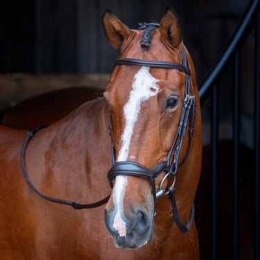 Shires Havana RAPIDA Ergonomic Flash Bridle