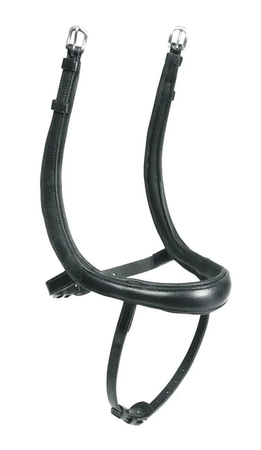 Shires RAPIDA Ergonomic Curved Flash Noseband