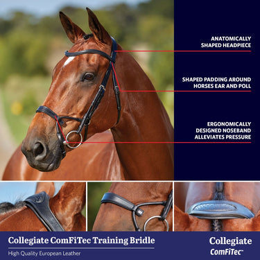 Buy the Collegiate ComFiTec Crystal Bridle | Online for Equine