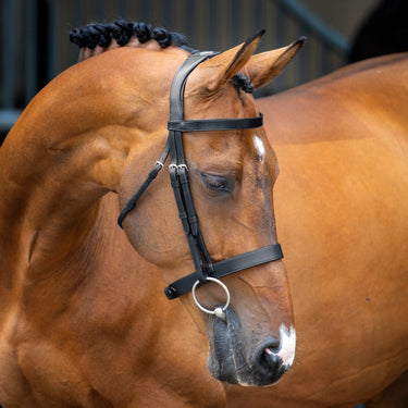 Shires Lusso Hunter Cavesson Bridle