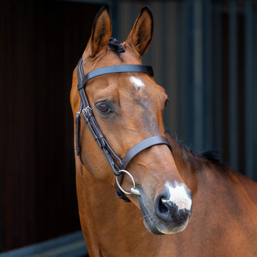 Shires Lusso Hunter Cavesson Bridle