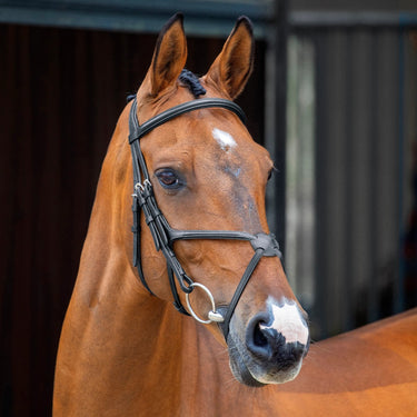 Shires Lusso Grackle Bridle