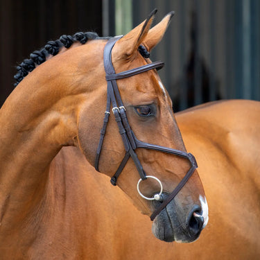 Shires Lusso Grackle Bridle