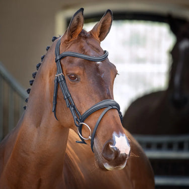 Shires Lusso Padded Raised Flash Bridle