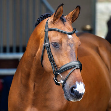 Shires Lusso Dressage Flash Bridle