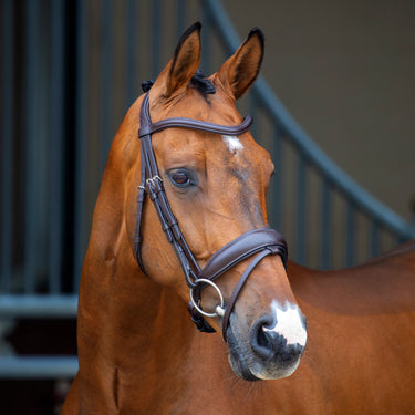 Shires Lusso Dressage Flash Bridle