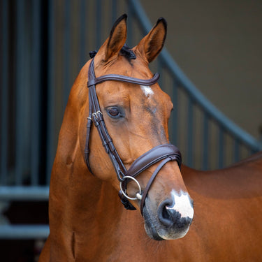 Buy Shires Lusso Dressage Flash Bridle| Online for Equine