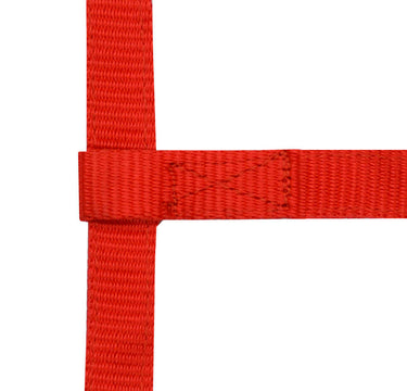 Norton Mini Adjustable Headcollar