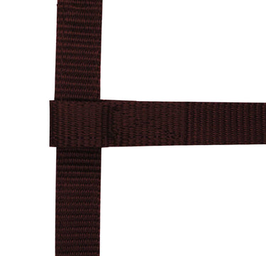 Norton Mini Adjustable Headcollar
