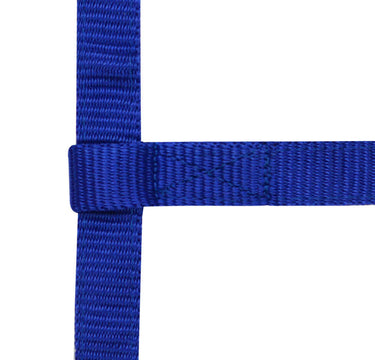 Norton Mini Adjustable Headcollar