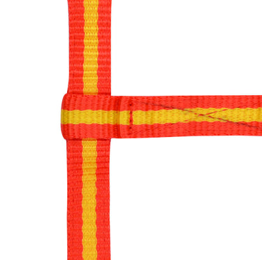 Norton Adjustable Foal Headcollar