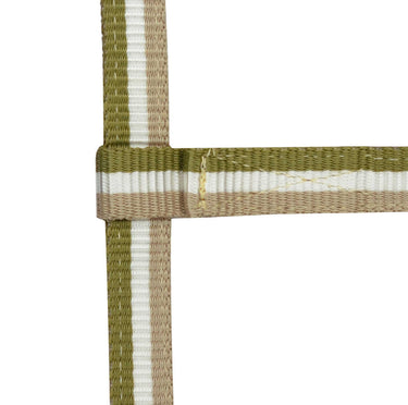 Norton Adjustable Foal Headcollar