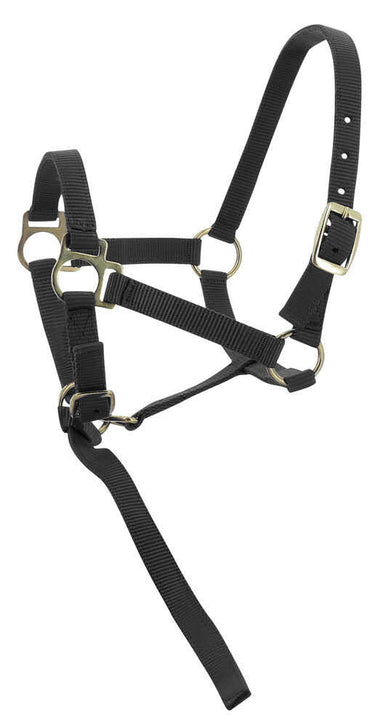 Norton Foal Headcollar & Lead Rope