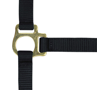 Norton Foal Headcollar & Lead Rope