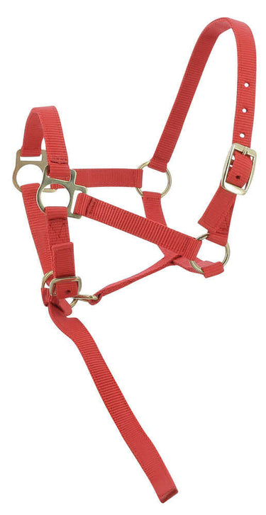 Norton Foal Headcollar & Lead Rope