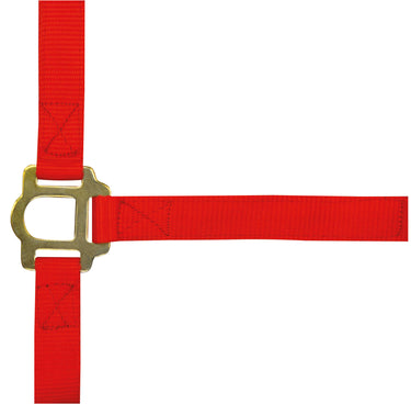 Norton Double Thickness Nylon Headcollar
