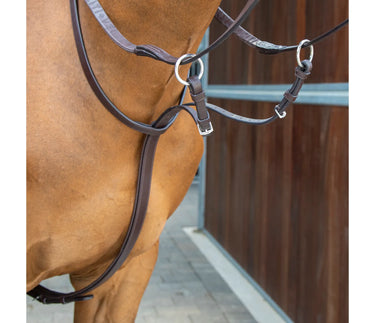 Buy Shires Lusso Running Martingale| Online for Equine