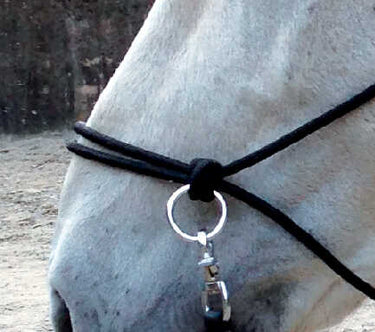 Norton Ethological Headcollar With Reins