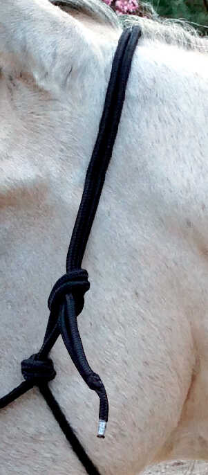 Norton Ethological Headcollar With Reins