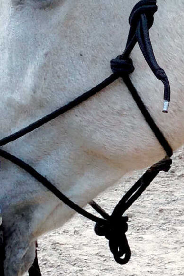 Norton Ethological Headcollar With Reins